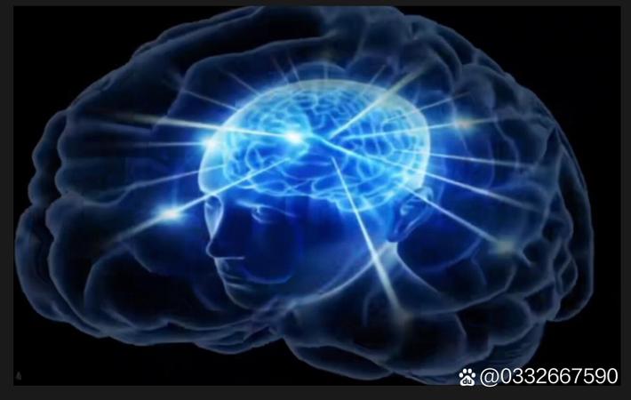 暗夜追凶 - 剧集相关视频推荐